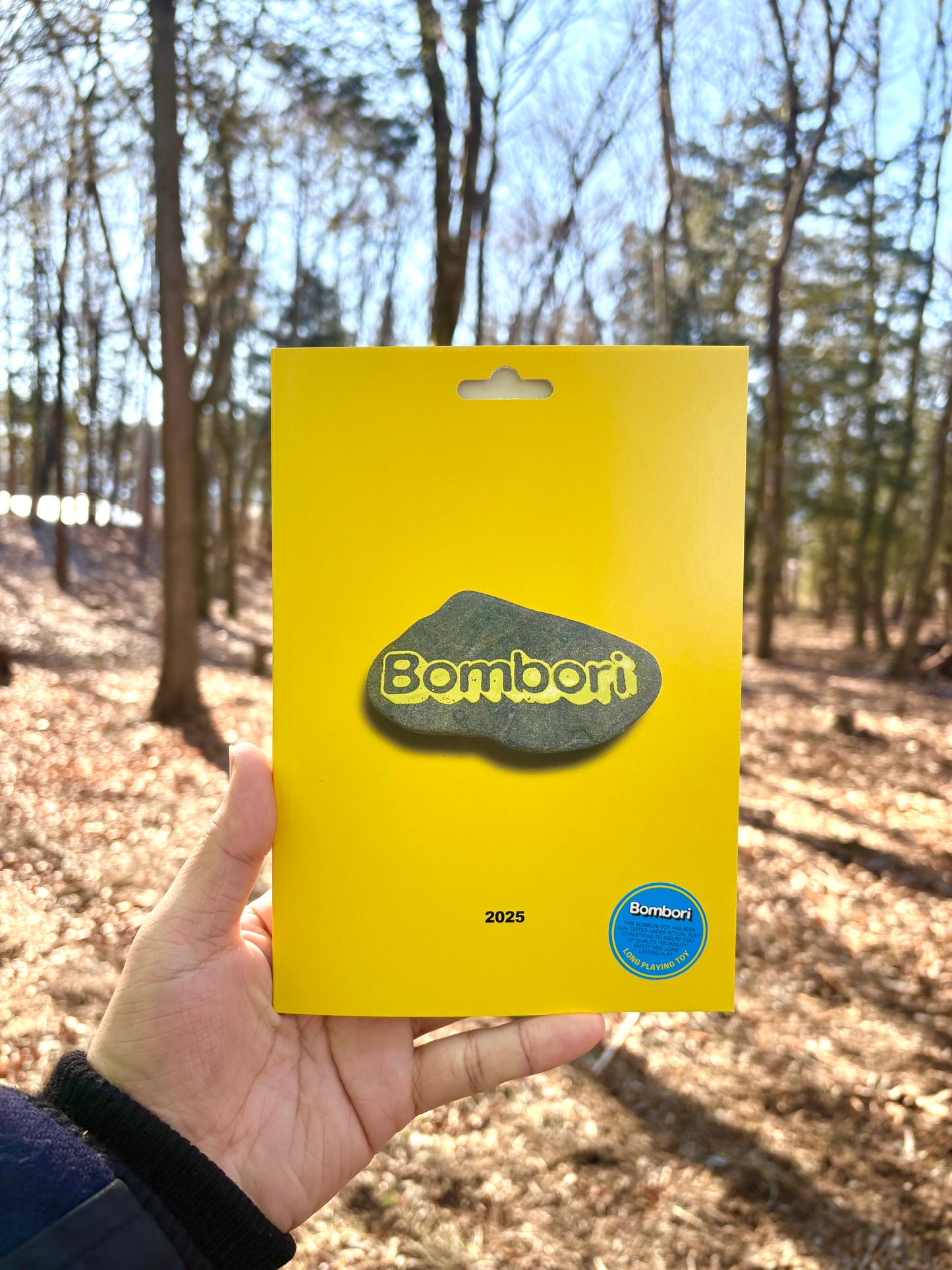 Bombori Studio 2025 Art Book